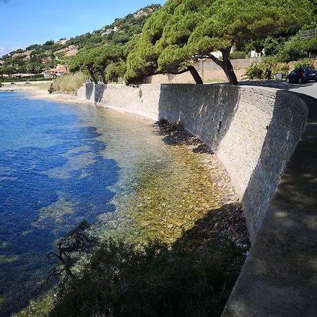 La Palmeraie - Chapter 3 Apartment Sainte-Maxime